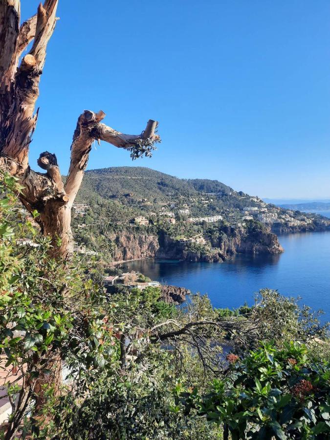 Magic Mer Saint-Raphaël Buitenkant foto