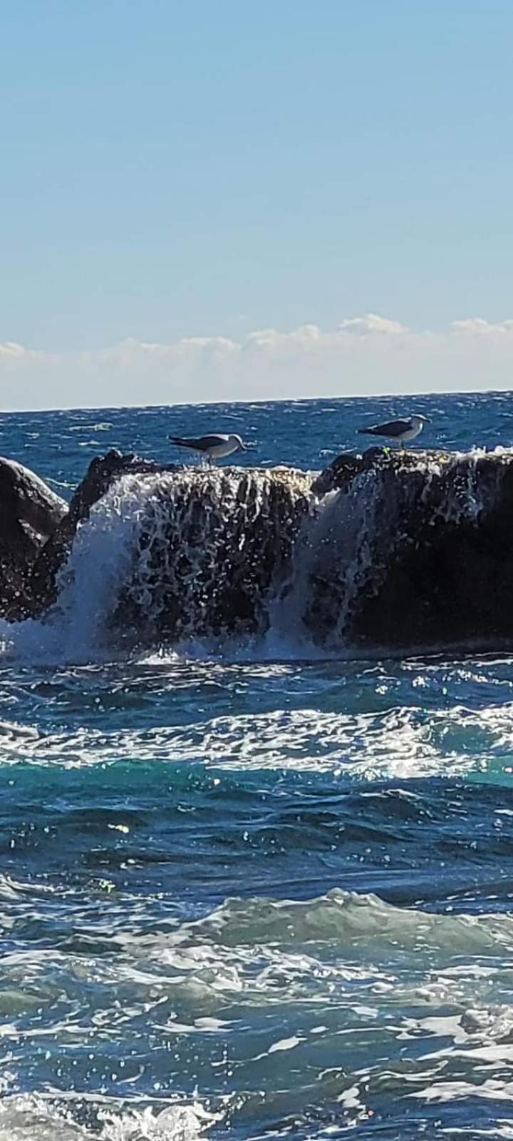 Magic Mer Saint-Raphaël Buitenkant foto